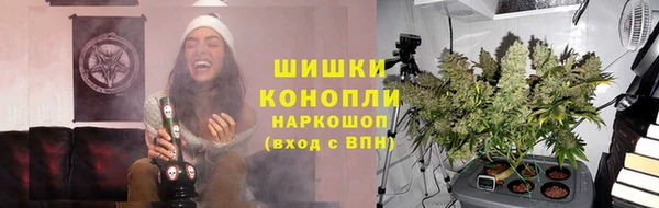 сатива Аркадак