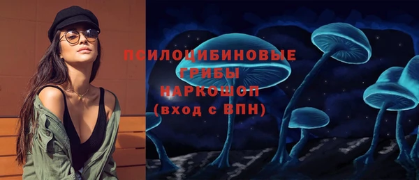 сатива Аркадак