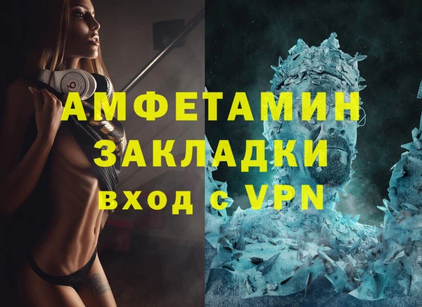 сатива Аркадак