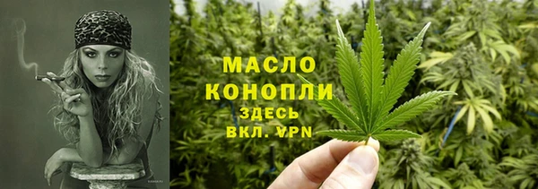 сатива Аркадак