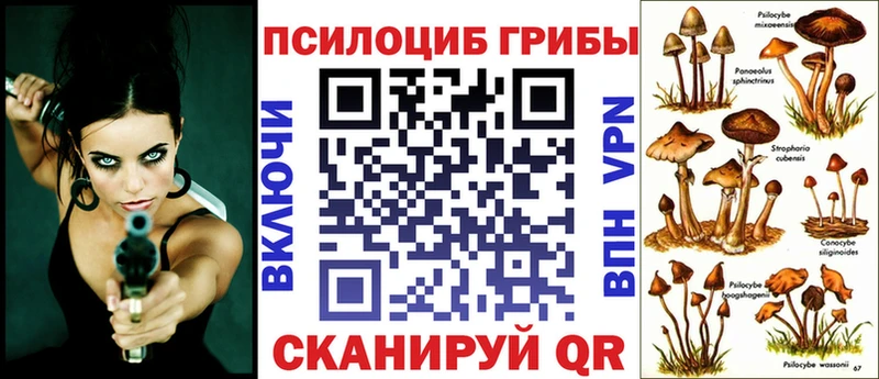 закладки мега онион Псилоцибиновые грибы Magic Shrooms Мглин
